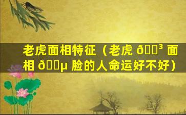 老虎面相特征（老虎 🌳 面相 🌵 脸的人命运好不好）